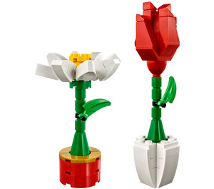 LEGO Flower Display 40187