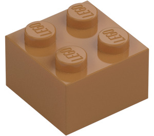 LEGO Středně tmavá tělová Kostka 2 x 2 (3003 / 6223)