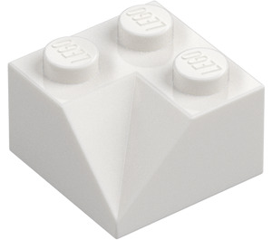 LEGO Sklon 2 x 2 (45°) s Dvojité Concave (Hrubý povrch) (3046 / 4723)