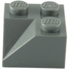 LEGO Sklon 2 x 2 (45°) s Dvojitý Concave (Hrubý povrch) (3046 / 4723)