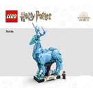LEGO Expecto Patronum 76414 Instructions