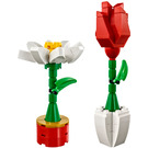 LEGO Flower Display 40187