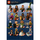 LEGO Harry Potter a Fantastic Beasts Series 1 - Random bag 71022-0 Instructions