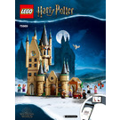 LEGO Hogwarts Astronomy Tower Set 75969 Instructions