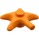 LEGO Mořská hvězdice (33122)