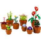 LEGO Tiny Plants 10329