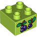 LEGO Duplo Duplo Kostka 2 x 2 s Grapes (3437 / 15868)
