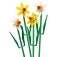 LEGO Daffodils 40747