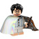 LEGO Harry Potter (Invisibility Cloak) 71022-15