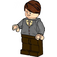 LEGO Profesor Remus Lupin s Šedá Cardigan Minifigurka