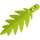 LEGO Lime Malý Palm List 8 x 3 (6148)