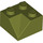 LEGO Olive Green Sklon 2 x 2 (45°) s Dvojitý Concave (Hrubý povrch) (3046 / 4723)