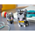 LEGO Shorthair Cats 40441